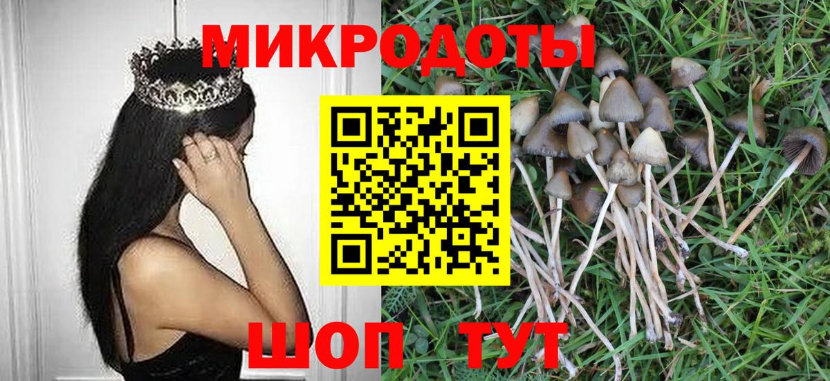 Зима  Псилоцибиновые грибы мицелий  Вход с VPN 