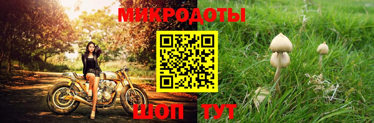 Псилоцибиновые грибы Magic Shrooms Зима